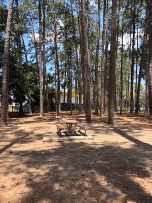 Herty Pines Dog Park photo 2